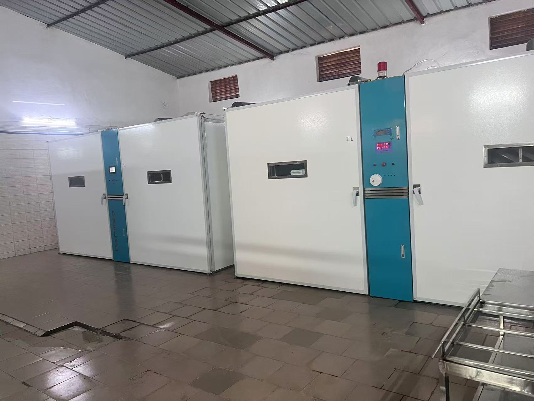 Latest company blogs about Wie Automatisierung die Schlupfrate in modernen Inkubatoren auf 98 % erhöht