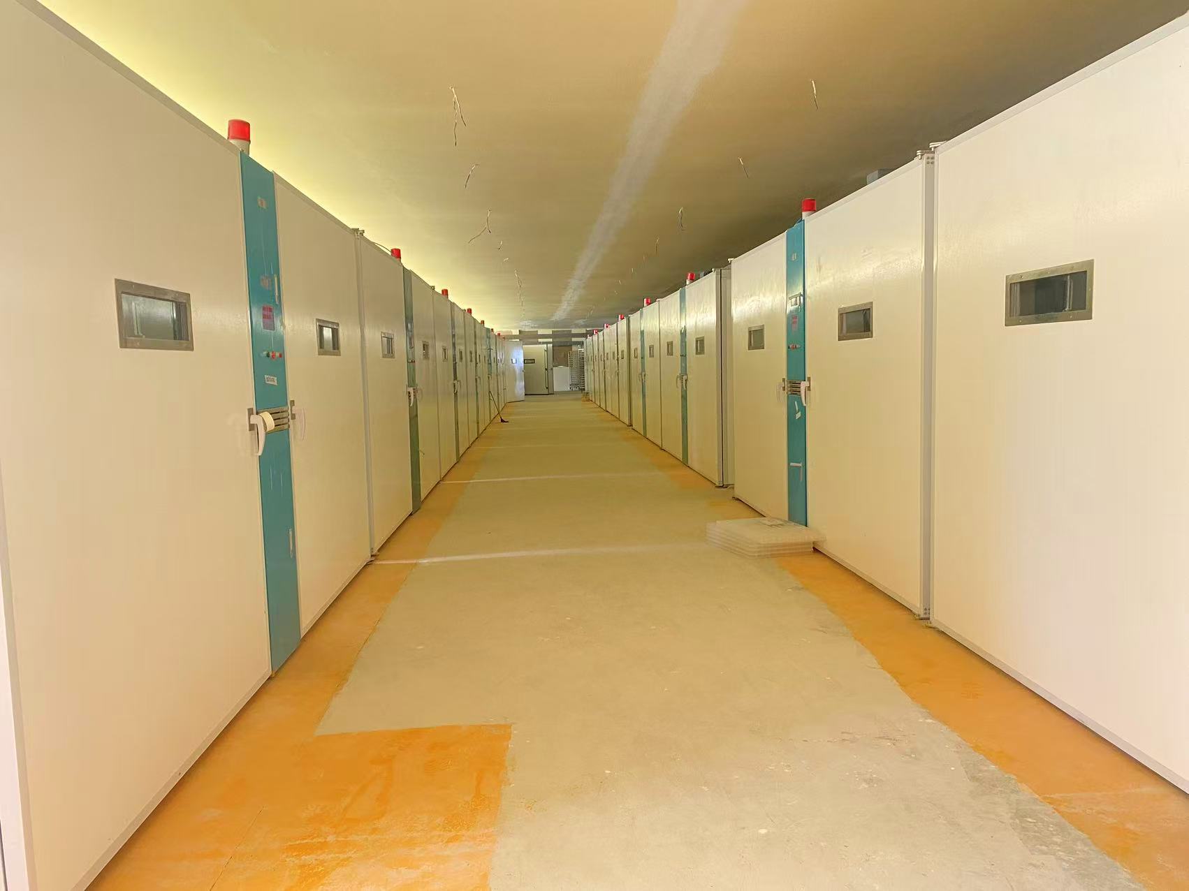 Latest company blogs about Kenianische Brütereien priorisieren kontinuierliche Versorgung und lokale Unterstützung mit 20 Einstufen-Brutmaschinen