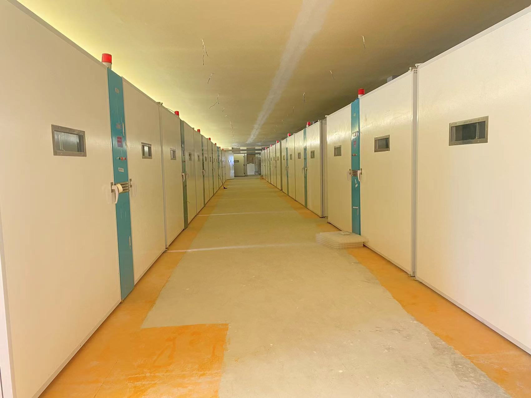 Neueste Unternehmensblogs über Dauerhafte Lösungen für die Geflügelzucht: Warum afrikanische Brutstätten auf Edelstahl und Glasfaser wechseln ELT-57600S