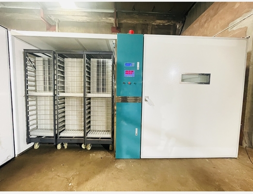 kaufen Mikrocomputer-kontrollierter einzelnes Stadiums-Brutkasten mit ±0.5°C-Temperatur-Genauigkeit online manufacture