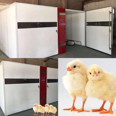 kaufen Industrielles Ei 1000W, das Brutkasten mit ±3%RH-Feuchtigkeits-Genauigkeit ausbrütet online manufacture