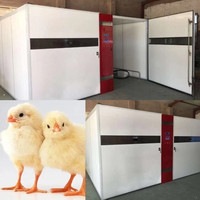 kaufen Digitalanzeigen-Huhn LED, das Maschine 50kg ausbrütet online manufacture
