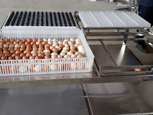 kaufen Übergangskommerzielles automatisches Ei, das Tabellen-Ausrüstungs-Maschine durchleuchtet online manufacture