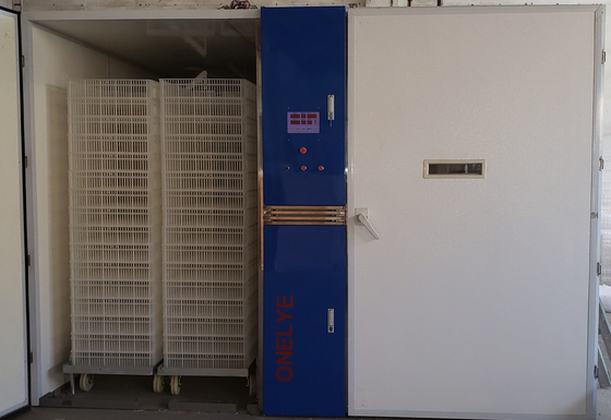 19200 Eggs Single Stage Incubator Poultry Hatchery Equipment Cabinet Incubators
