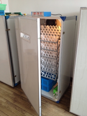 kaufen Einfache Luken-vollautomatischer Ei-Brutkasten für Ei-Kapazitäts-Brutkasten der Hühnerei-300 online manufacture