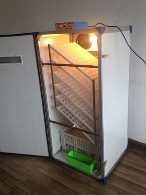 kaufen 500 Hühnerei-Brutkasten online manufacture