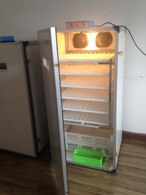 kaufen 300 Schildkröten-kleiner Geflügel-Ei-Brutkasten für Hühnerei-Selbstdrehenbrutkasten online manufacture