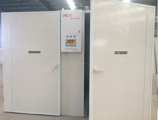 kaufen Handelshühnerbrutplatz-Ausrüstung 16000 online manufacture