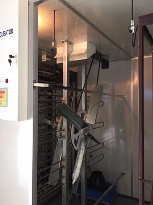 kaufen 6000 Digital-Ei-Brutkasten-Geflügel-Hühnerbrutplatz-Ausrüstungs-Maschine online manufacture