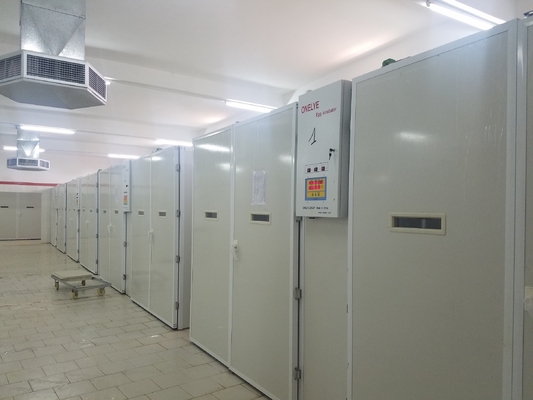 kaufen 20000 Brutkasten-Hühnerei, die Maschine ausbrütet online manufacture