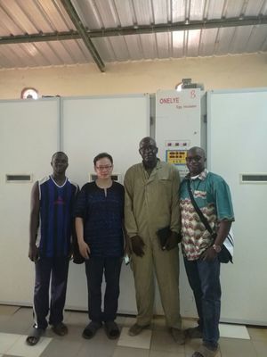 kaufen Industrielle Handelseier Selbstdrehen6.5kw des wachtel-Ei-Brutkasten-90000 online manufacture