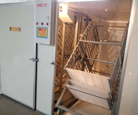 kaufen Ei-Fasan-Papageien-Ei-Ausbrüten des große Kapazitäts-Handelsei-Brutkasten-10000 online manufacture