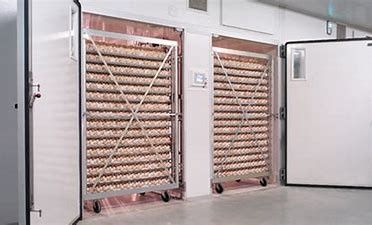 kaufen Intelligenter 31824 Ei-Wachtel-einzelnes Stadiums-Brutkasten mit Ei Turner online manufacture