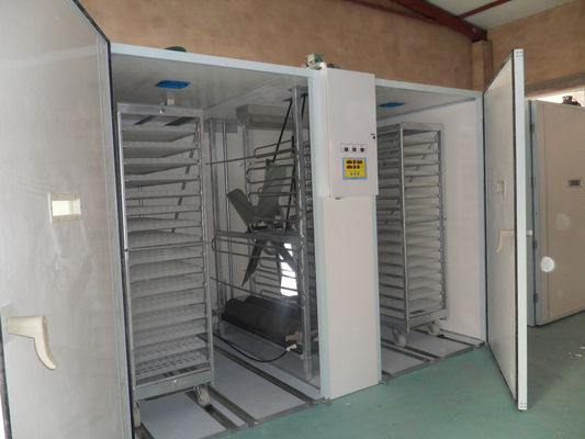 kaufen Ei-Brutkasten der Ei-Laufkatzen-30000, der Maschine ausbrütet online manufacture