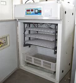 kaufen 200PCS Jumbo Geflügelei Inkubator Extrudierte Abschnitte online manufacture