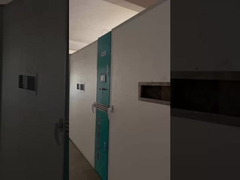 Was sind die drei Phasen der Inkubation?